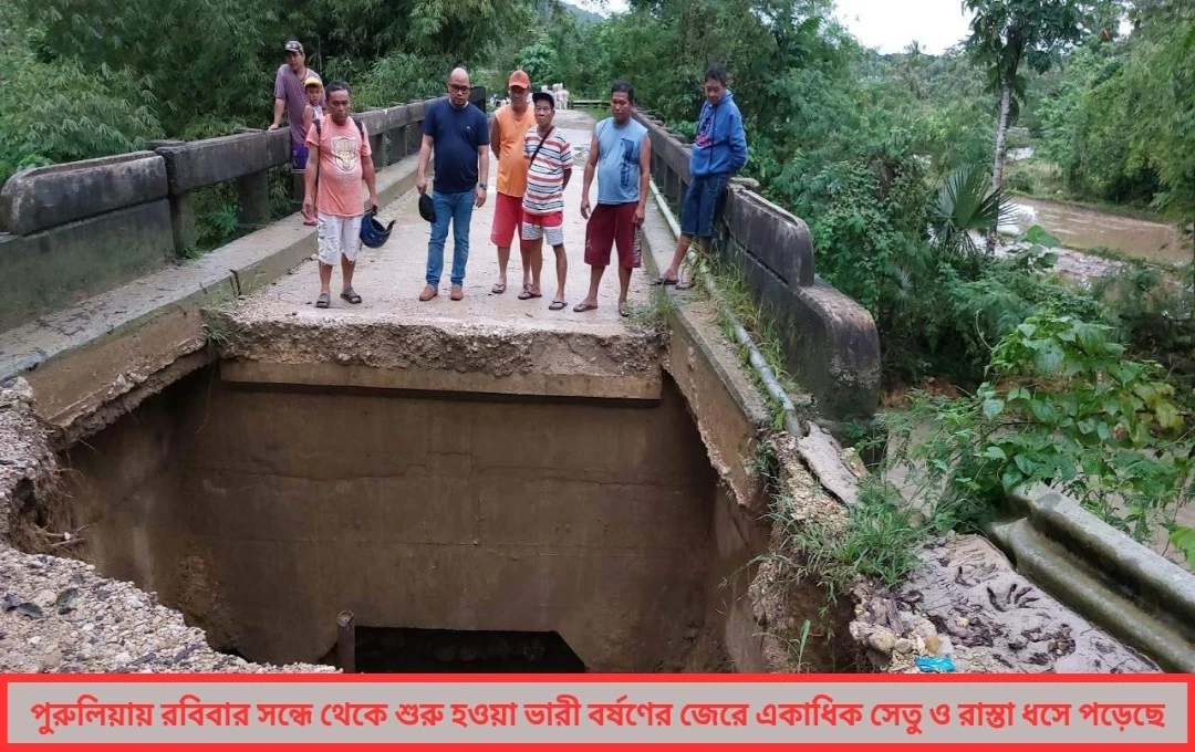 বলরামপুরে বর্ষার রোষ, ধসে পড়ল সেতু, বিচ্ছিন্ন হল ১০ গ্রামের সংযোগ