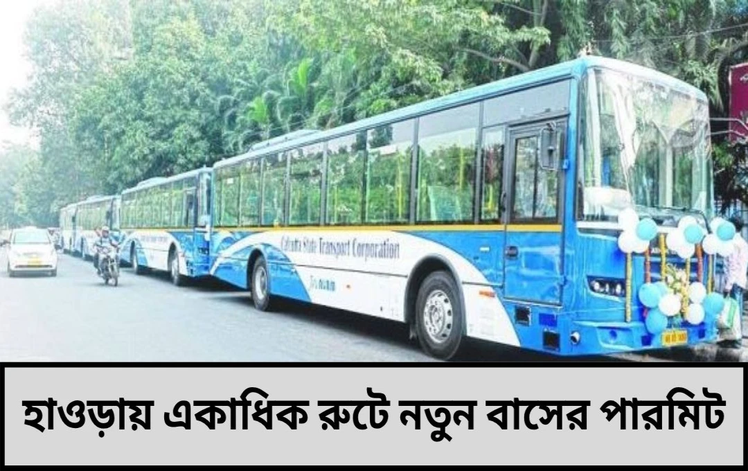 নতুন বাস চালানোর উদ্যোগ জেলা পরিবহণ দপ্তরের