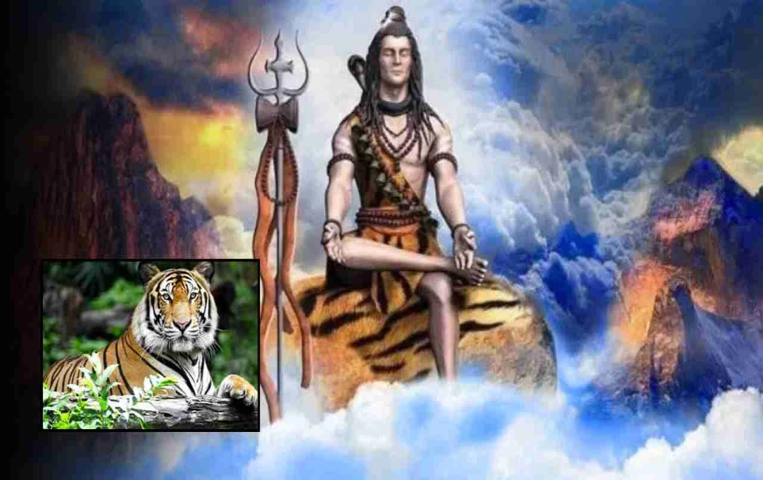 क्यों पहनते हैं भगवान शिव बाघ की खाल? जानिए इससे जुड़ी पौराणिक कथा 