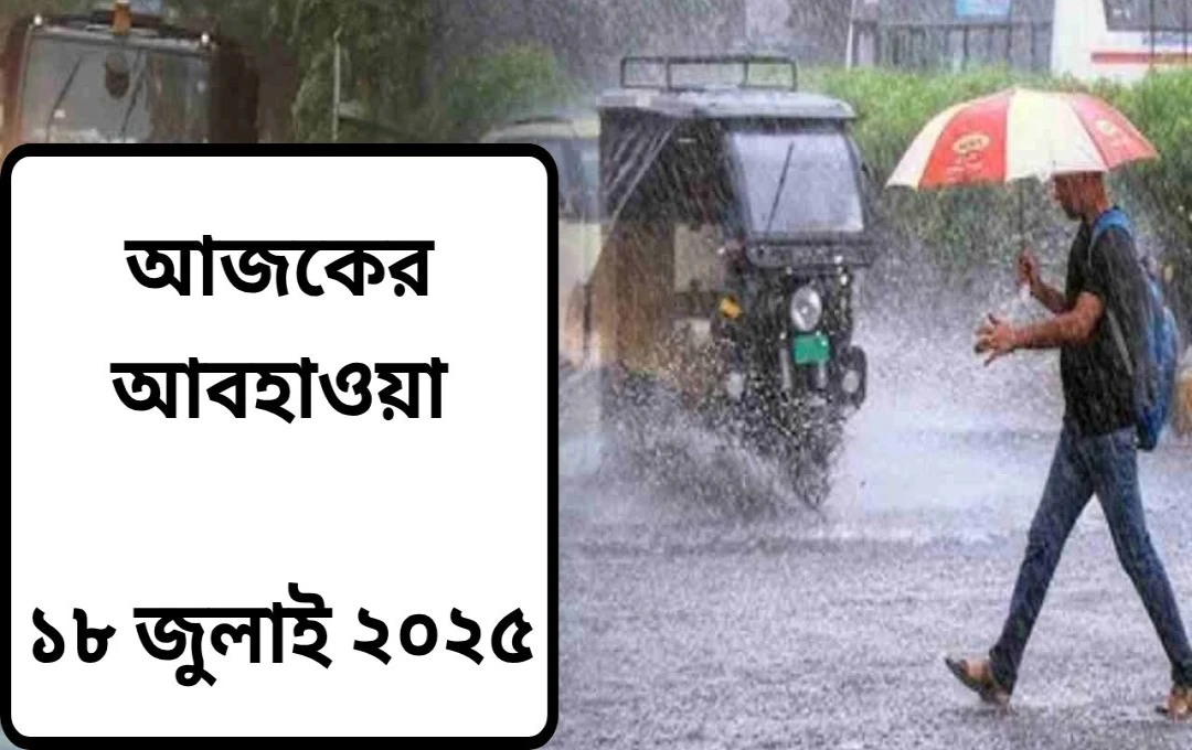 দিল্লি-এনসিআর-এ বর্ষার অপেক্ষা: উত্তর ভারতে বন্যা পরিস্থিতি, জারি সতর্কতা