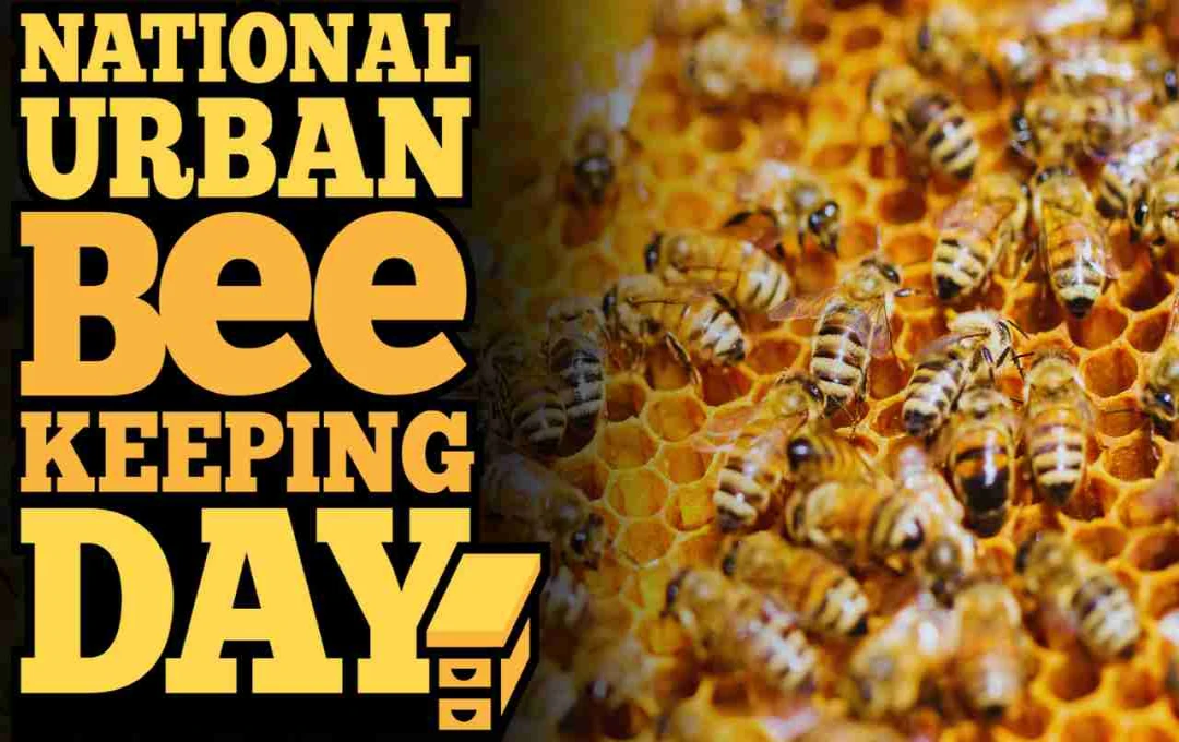National Urban Beekeeping Day: Promoting Sustainable Cities and Protecting Bees