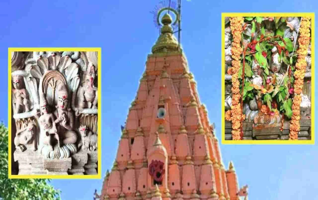 Nag Panchami 2025: साल में सिर्फ एक दिन खुलता यह खास मंदिर, शिव–पार्वती विराजते हैं नाग की शैय्या पर