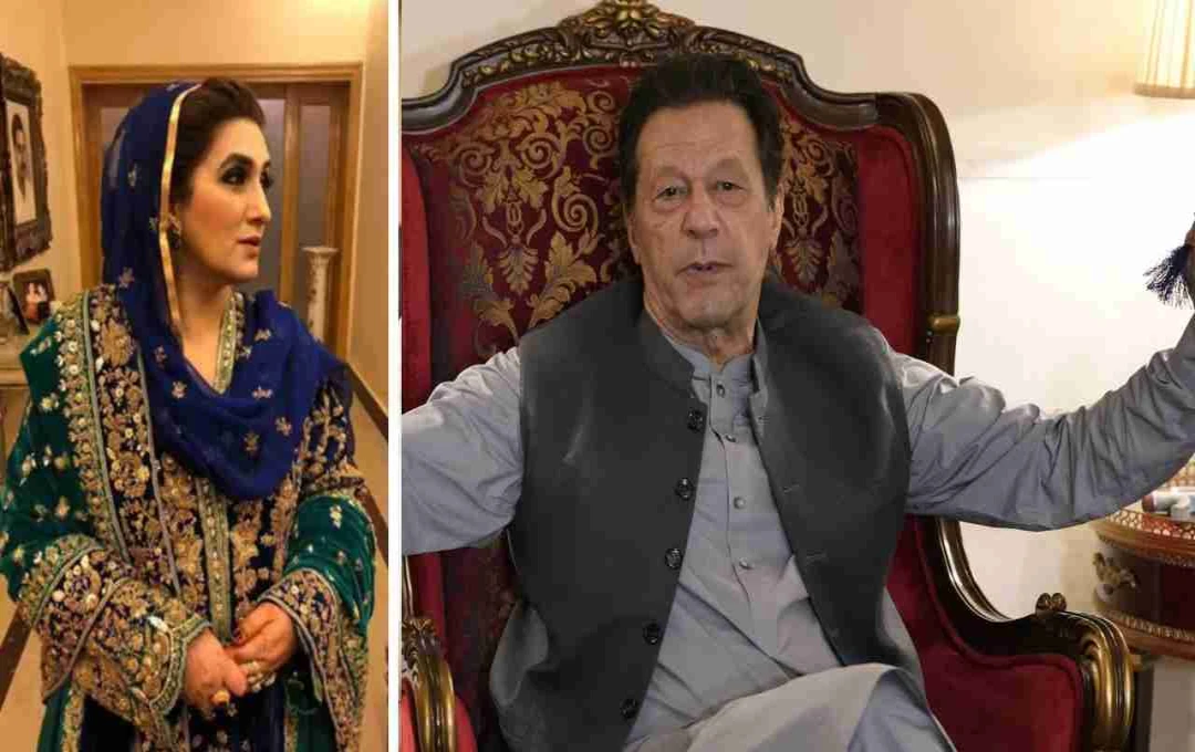 Imran Khan Blames Army Chief, Alleges Torture in Jail