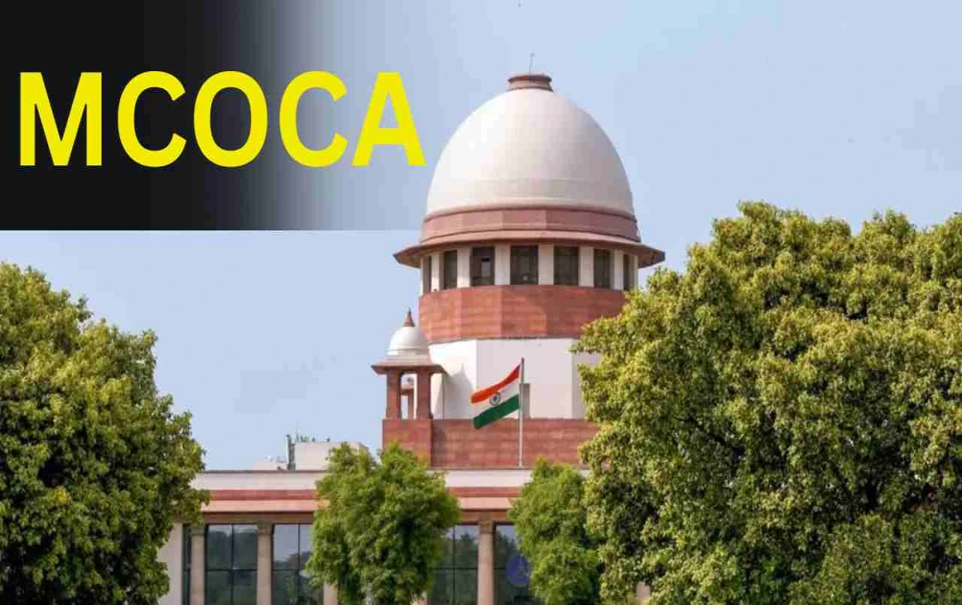MCOCA मामलों पर सख्त हुआ सुप्रीम कोर्ट: महाराष्ट्र सरकार को लगाई फटकार, कहा- 'कानून बना रहे हो तो...'