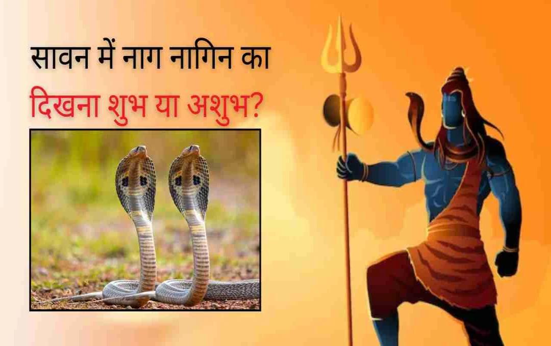 सावन में नाग नागिन का दिखना शुभ या अशुभ? जानिए इसका रहस्यमयी संकेत