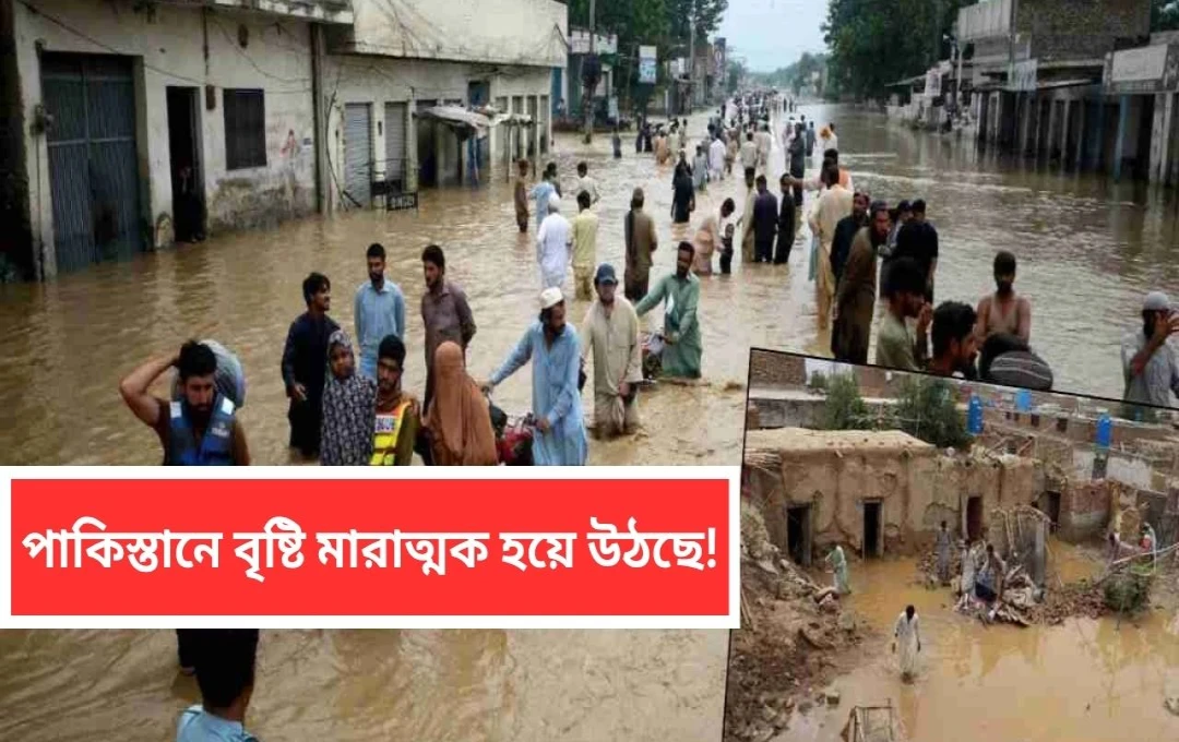 পাকিস্তানে বন্যা ও ভারী বৃষ্টিতে ২০০ জনের বেশি মানুষের মৃত্যু