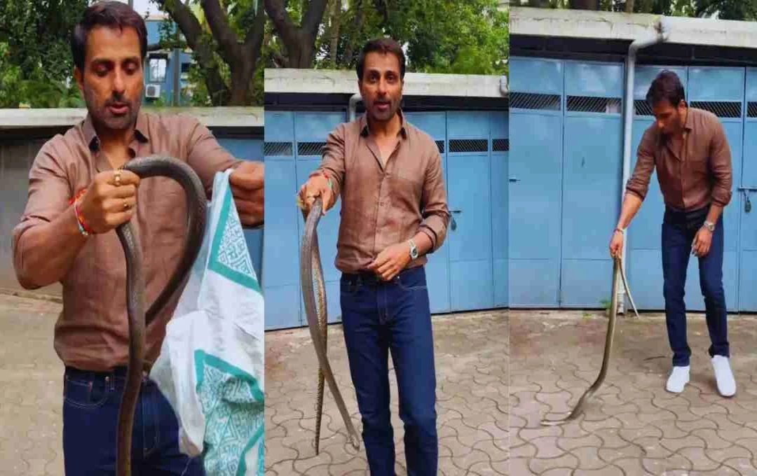 सोनू सूद ने सोसायटी में घुसे सांप को बहादुरी से पकड़ा, फैंस को दी सतर्क रहने की चेतावनी