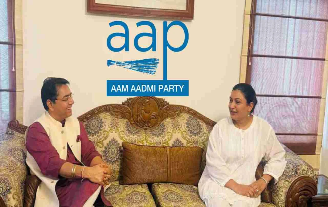 Punjab Politics: राजनीति छोड़ने के 24 घंटे बाद बदला फैसला, AAP विधायक अनमोल गगन का यू-टर्न
