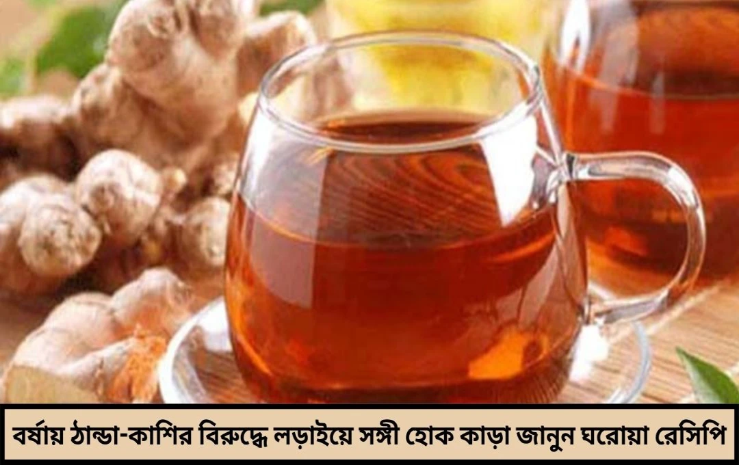 বর্ষায় হাঁচি-কাশি হাতের কাছেই ভরসা ‘কাড়া’, immunity বাড়াতে এই ভেষজ পানীয়ই যথেষ্ট!
