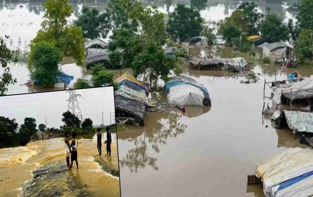 Jharkhand: बाढ़ से टूटा एनएच-80, झारखंड और बंगाल के बीच संपर्क पूरी तरह ठप, व्यापार पर पड़ा भारी असर