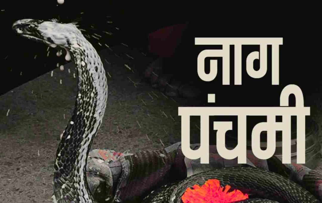 Nag Panchami 2025: नागदेवता को खुश करने के सरल उपाय, इस बार नाग पंचमी पर बरसेगी कृपा