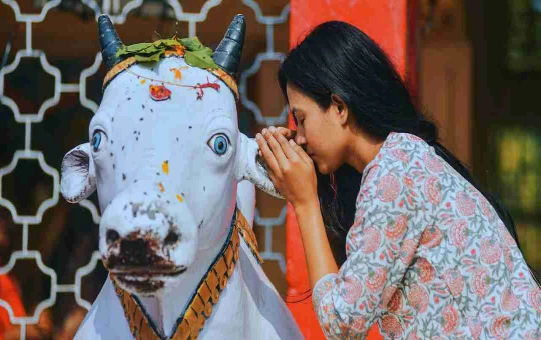 नंदी के कान में क्यों कहते हैं अपनी बात, जानिए इस अनोखी परंपरा के पीछे की वजह
