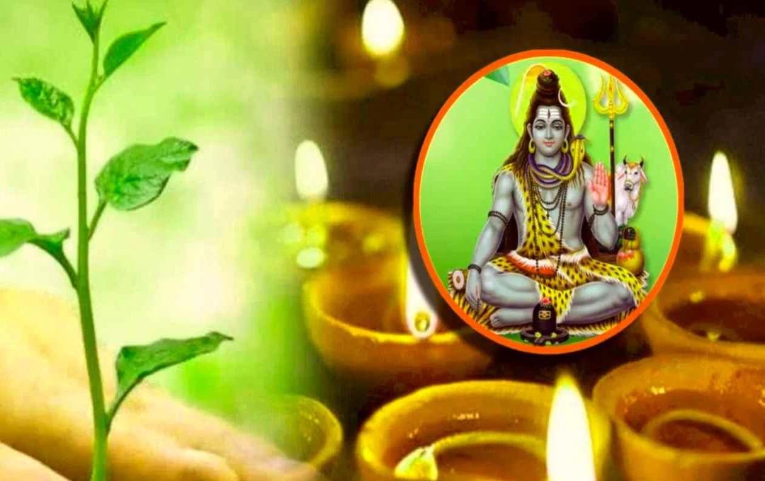हरियाली अमावस्या पर दीप जलाने के ये स्थान माने जाते हैं बेहद खास, पितरों से मिलती है कृपा