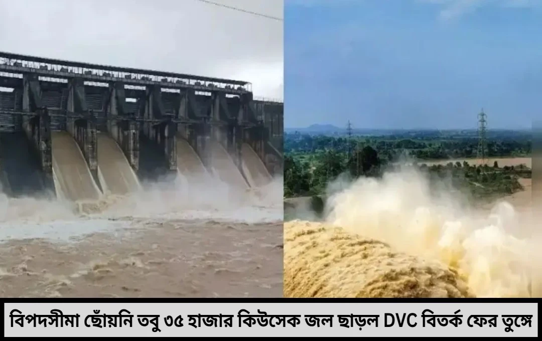 বিপদসীমা ছোঁয়নি জলাধার তবু কেন এই জলছাড়া আবার বিতর্কে DVC রাজ্যের প্রশ্ন ‘কার স্বার্থে