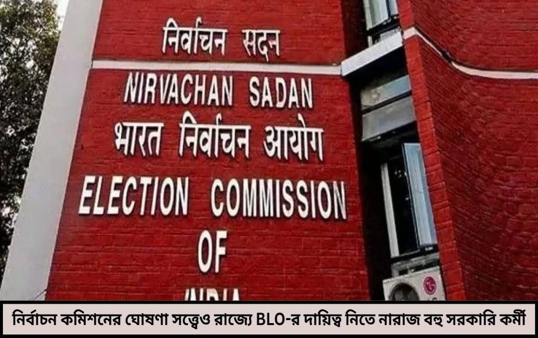 ভাতা দ্বিগুণ তবু বুথ লেভেল অফিসার ঘিরে অনীহার মেঘ! 