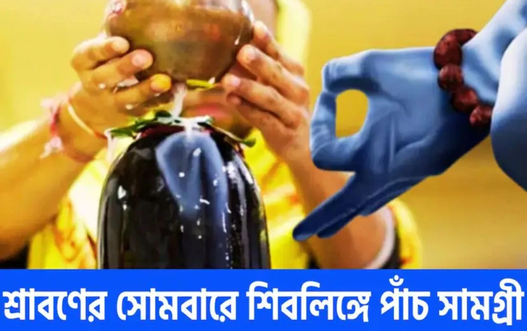 মহাদেব হবেন সন্তুষ্ট জীবনে আসবে কৃপাবর্ষা ও উন্নতির জোয়ার