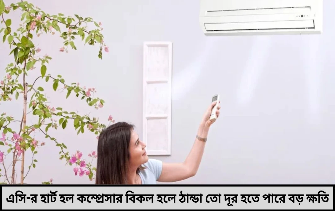 হার্ট’ খারাপ মানেই মহাবিপদ আপনার এসি-র প্রাণভোমরা কোন অংশ জানেন জেনে নিন নাহলে বড় ক্ষতি অবশ্যম্ভাবী!