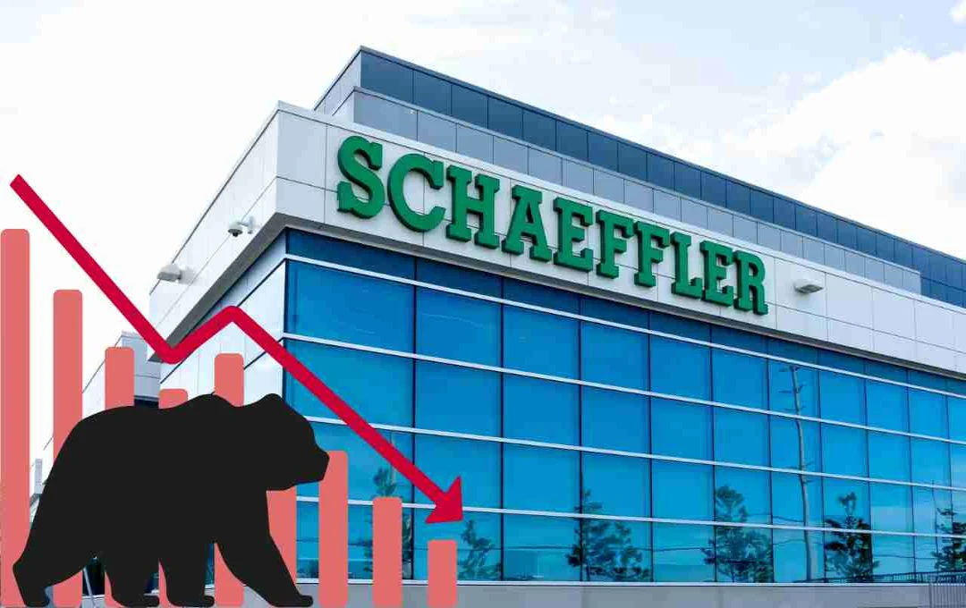 Schaeffler India: कंपनी के मुनाफे में दमदार उछाल, जानिए फिर भी शेयर क्यों गिरा 