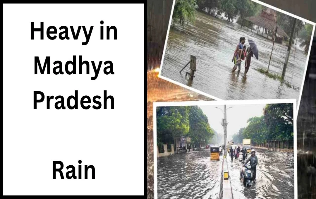 Madhya Pradesh Weather Alert: Red Alert Issued for Heavy Rainfall and Flood-like Conditions in Several Districts