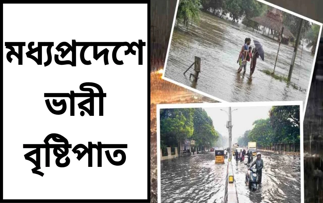 প্রবল বৃষ্টিতে বিপর্যস্ত মধ্যপ্রদেশ: ৪১ জেলায় সতর্কতা জারি, রেড অ্যালার্ট ৫ জেলায়