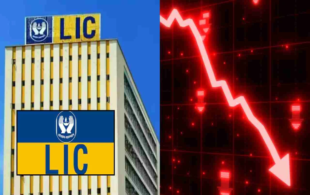 LIC को शेयर बाजार में तगड़ा झटका, जुलाई में डूबे 46000 करोड़ रुपये
