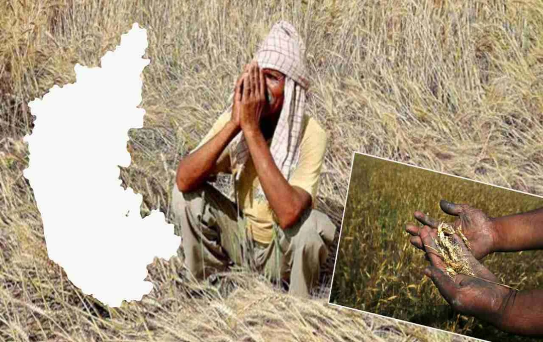 কর্নাটকে কৃষক আত্মহত্যা: রাজনৈতিক চাপানউতোর তুঙ্গে, কংগ্রেসের বিরুদ্ধে গাফিলতির অভিযোগ বিজেপির