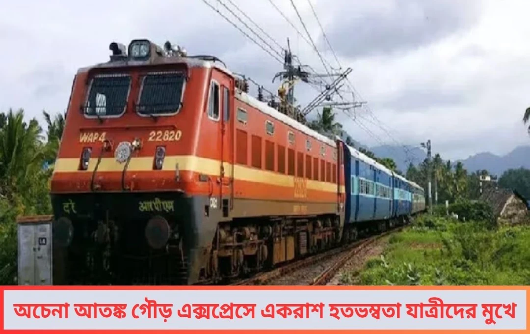 রাত ৩টে... হুড়মুড়িয়ে ঢুকে পড়ল অচেনারা! গৌড় এক্সপ্রেসের এসি কামরায় চুরি কাণ্ডে তীব্র প্রশ্ন রেল নিরাপত্তা নিয়ে
