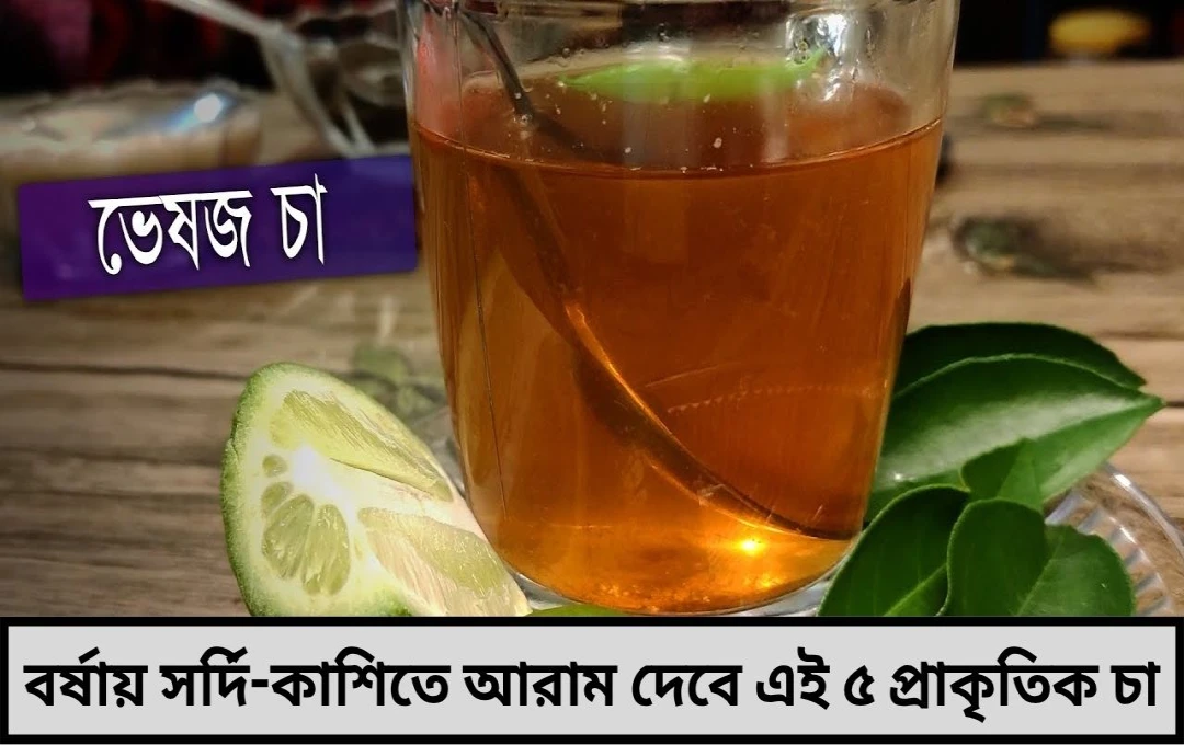 বর্ষায় জ্বর-সর্দিতে কাবু ঘরোয়া চায়ের কাপে মিলবে আরাম ও আরোগ্য!


