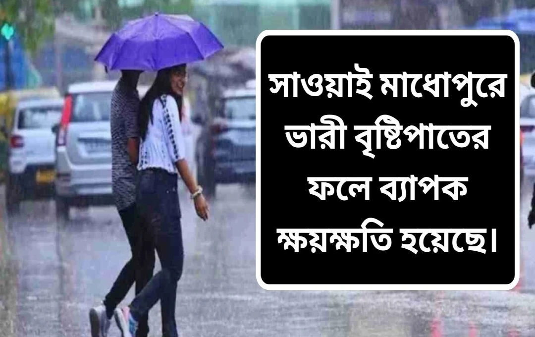 রাজস্থানে বন্যা: সোয়াই মাধোপুরে বিপর্যস্ত জনজীবন, রেল ও সড়ক যোগাযোগ বিচ্ছিন্ন