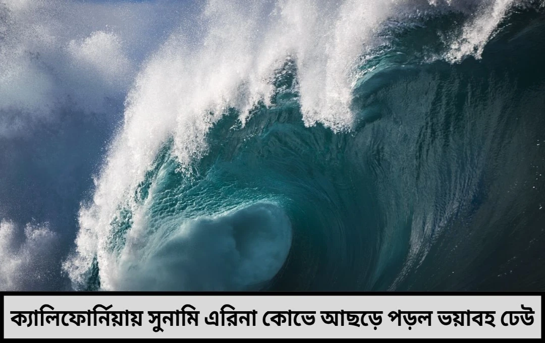 ক্যালিফোর্নিয়ায় আছড়ে পড়ল সুনামির ঢেউ, আতঙ্ক ছড়াল উপকূলবর্তী এলাকায়

