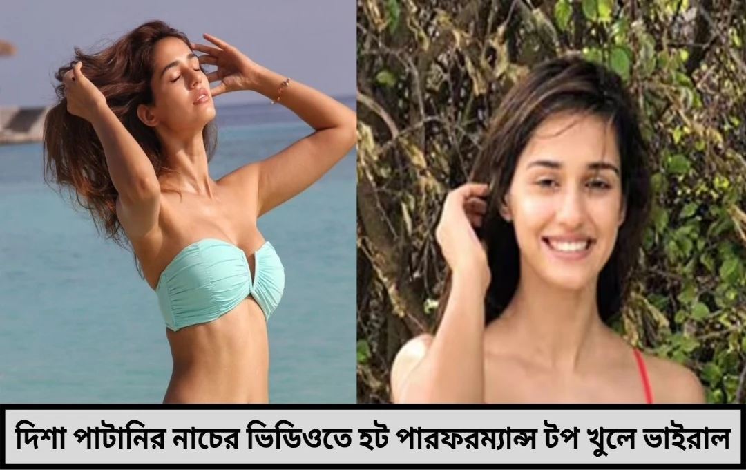 দিশা পাটানির ‘হট’ নাচ ভাইরাল মুহূর্তে খুলে ফেললেন টপ অনুরাগীদের মধ্যে তোলপাড় ভিডিও