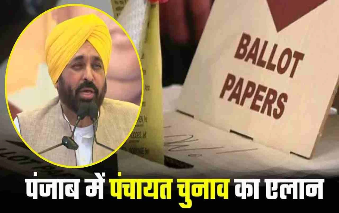 पंजाब में पंचायत समितियों और जिला परिषदों के चुनाव 5 अक्टूबर तक, मान सरकार ने दी मंजूरी