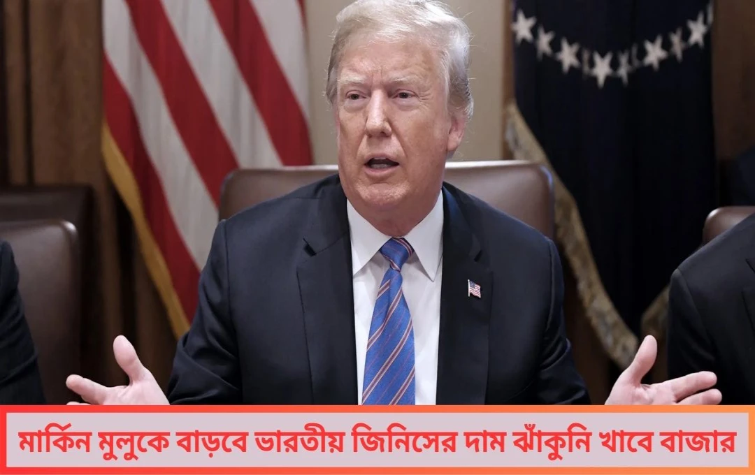ট্রাম্পের শুল্ক বোমা ভারতকে ২৫% ট্যারিফে কোণঠাসা করে পাকিস্তানের সঙ্গে চুক্তি বিশ্ব বাণিজ্যে চমক