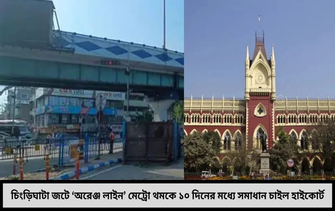 চিংড়িঘাটা জটে আটকে ‘অরেঞ্জ লাইন’ ১০ দিনের আল্টিমেটাম হাইকোর্টের পুলিশের অসহযোগিতায় মেট্রোর কাজ থমকে ৩৬৬ মিটারে !