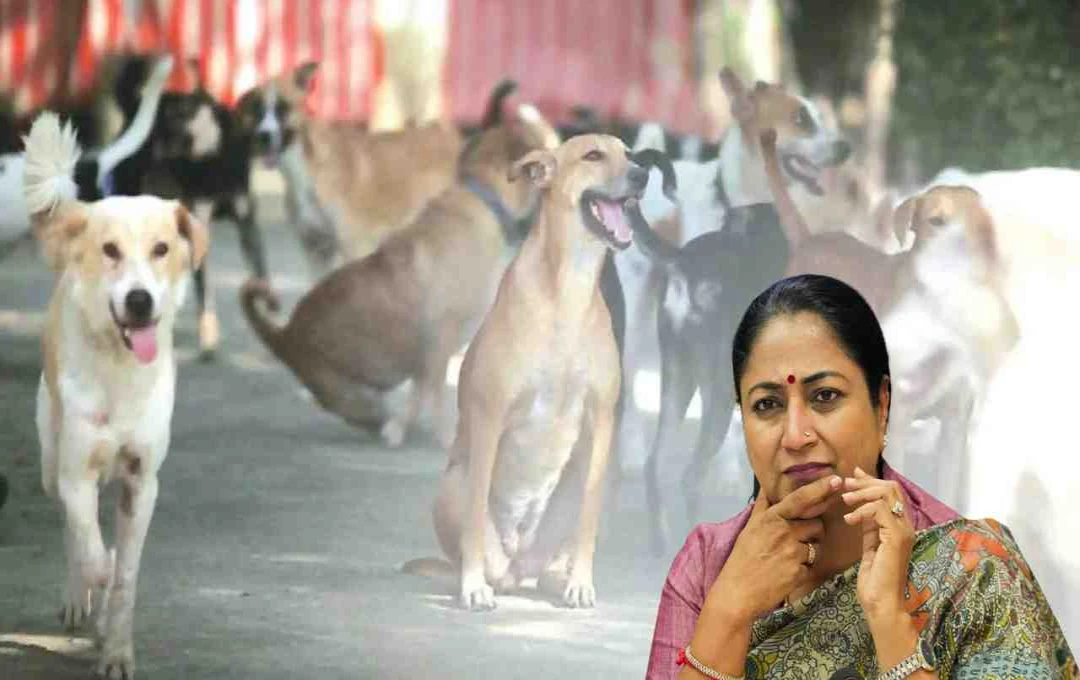 दिल्ली में आवारा कुत्तों पर सख्त एक्शन की तैयारी, सीएम रेखा गुप्ता ने बनाई नई रणनीति