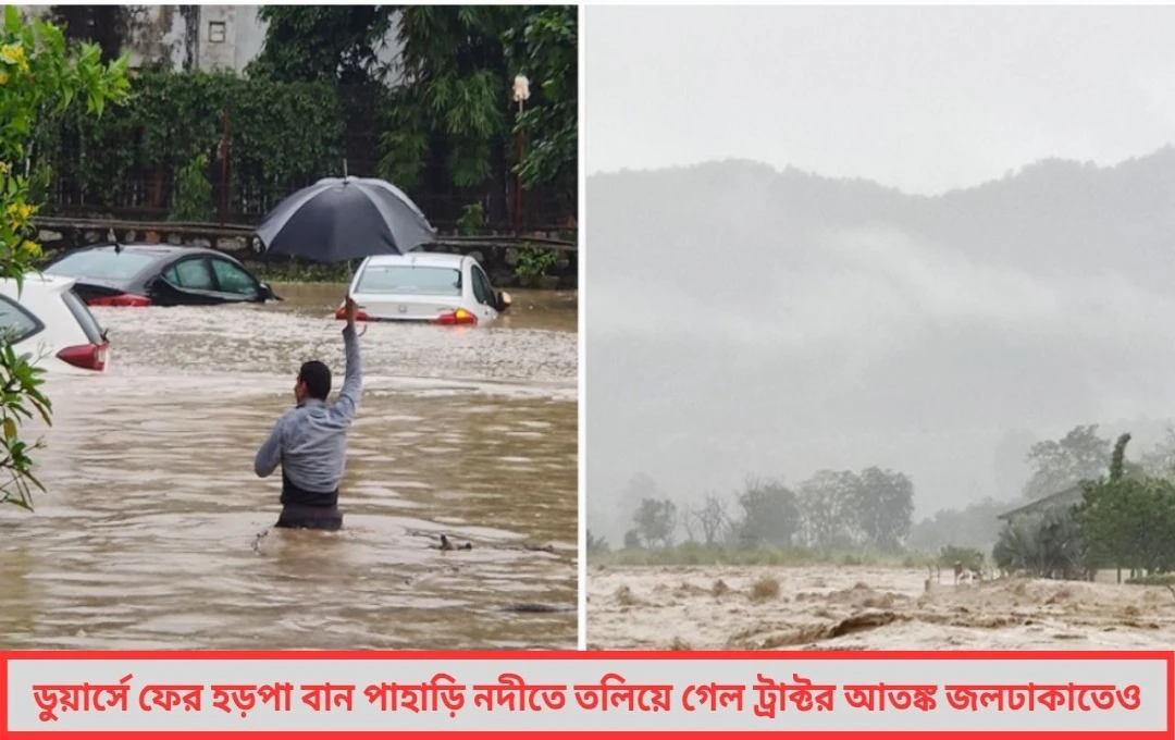 প্রবল বৃষ্টিতে অঘটন! ডুয়ার্সে ফের হড়পা বানের তাণ্ডব, পাহাড়ি নদীতে তলিয়ে গেল আস্ত ট্রাক্টর! আতঙ্ক জলঢাকাতেও
