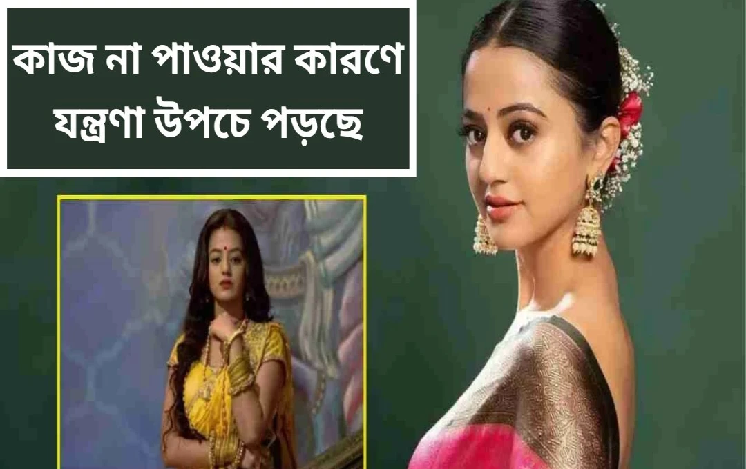 হেলি শাহের নেপোটিজম নিয়ে বিস্ফোরক মন্তব্য
