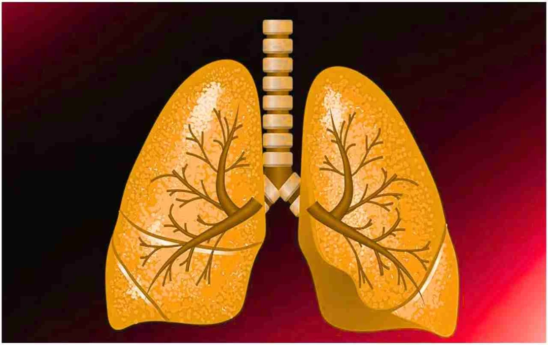फेफड़ों की देखभाल: स्वस्थ सांसों के लिए अपनाएं ये 5 जरूरी आदतें