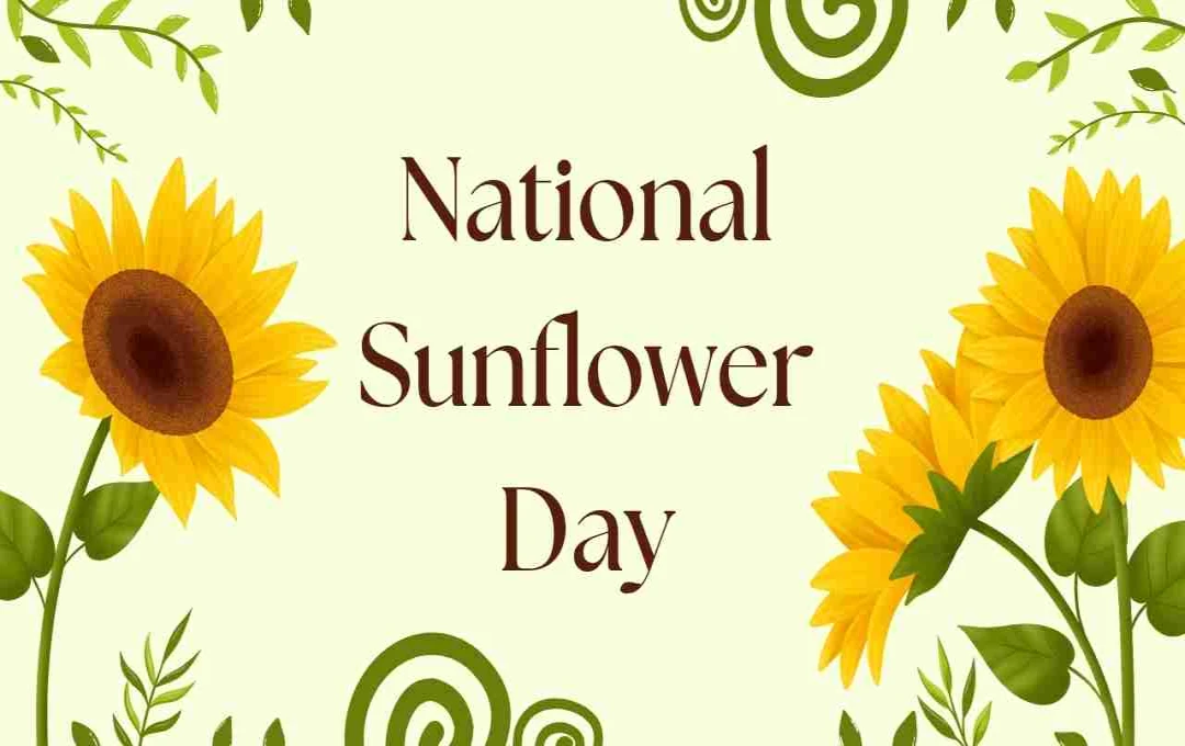 Celebrate National Sunflower Day: Beauty, Benefits, and History