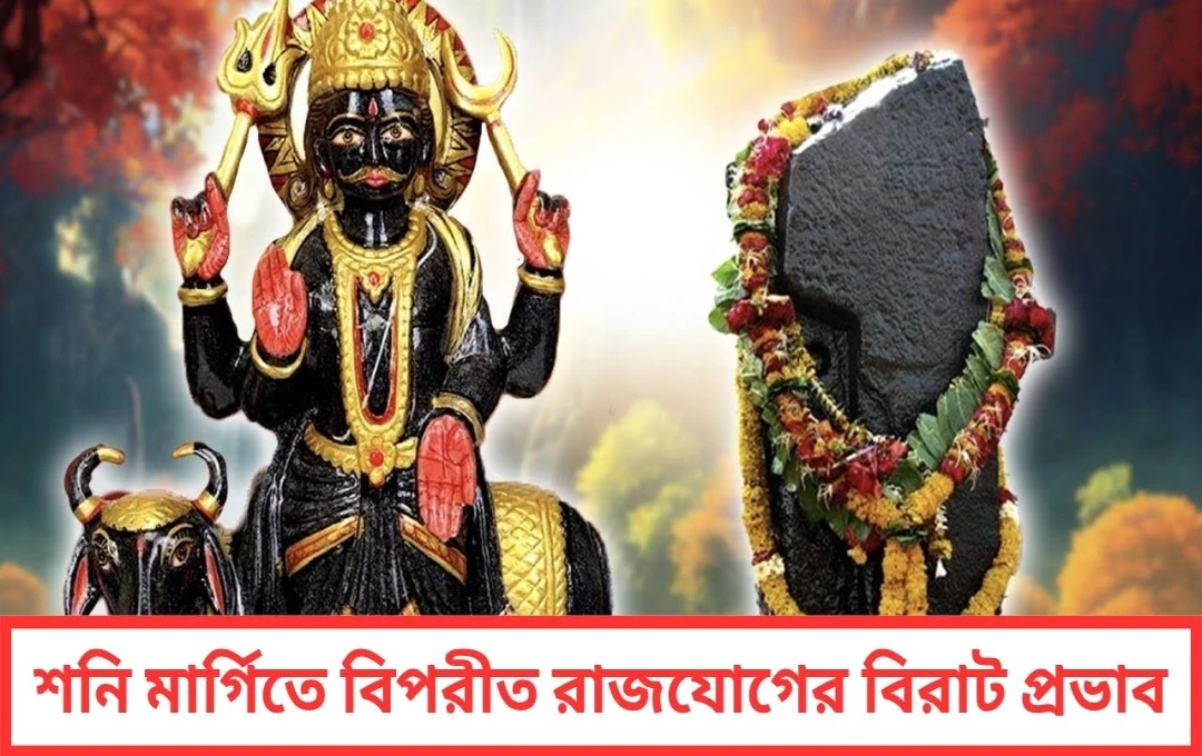 শনি মার্গিতে বিপরীত রাজযোগের বিরাট প্রভাব ৩ রাশির জাতকদের ভাগ্যে অঢেল অর্থ শক্তি ও প্রতিষ্ঠা আনছে সূর্যপুত্র