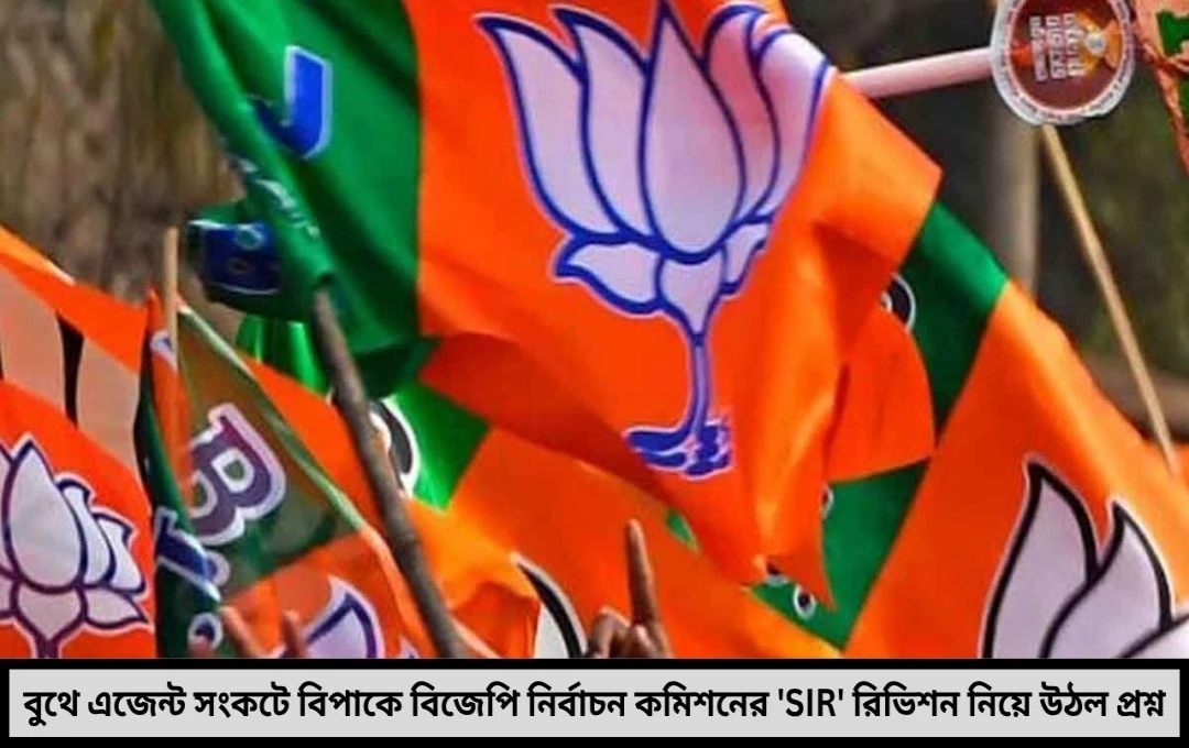 বুথে এজেন্ট নেই বহু জায়গায় বিজেপির অন্দরেই উঠল প্রশ্ন