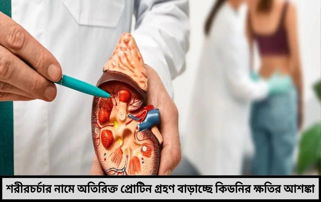 অতিরিক্ত প্রোটিনে বাড়ছে কিডনির ঝুঁকি তরুণদের মধ্যে ছড়াচ্ছে নীরব ঘাতক সতর্ক করলেন চিকিৎসকেরা