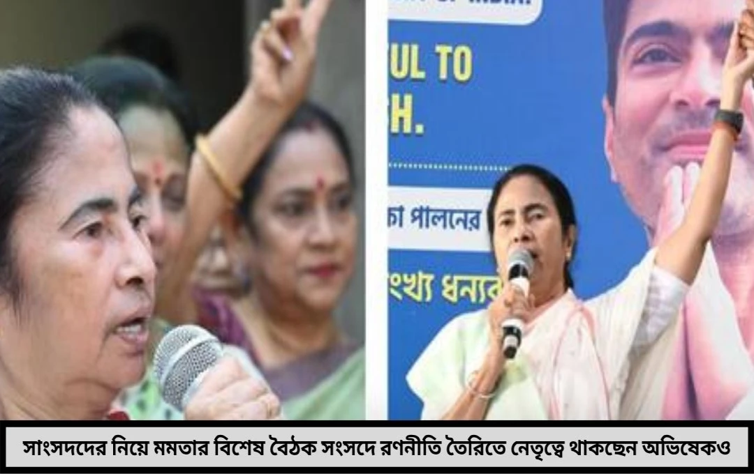 মমতার কড়া বার্তা দেওয়ার প্রস্তুতি সংসদ অধিবেশন ঘিরে রণনীতি স্থির করতে বৈঠকে তৃণমূল