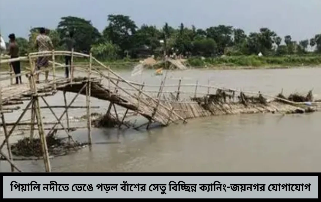 পিয়ালি নদীতে ভেঙে পড়ল বাঁশের সেতু বিচ্ছিন্ন ক্যানিং ও জয়নগরের যোগাযোগ
