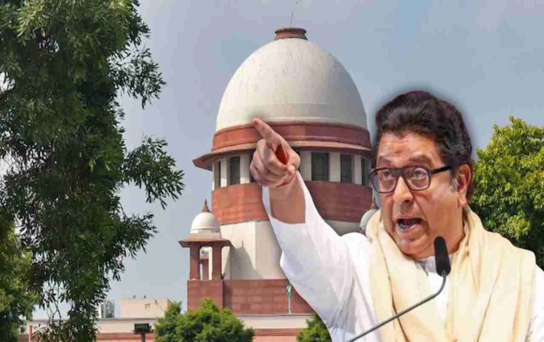 राज ठाकरे मामले में SC ने लगाई फटकार, याचिकाकर्ता को भेजा हाई कोर्ट