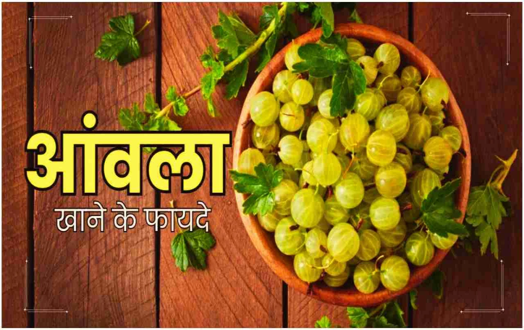 रोज़ाना एक आंवला खाने से 14 दिनों में मिलेंगे ये 6 जबरदस्त फायदे, जानें डायटिशियन की राय