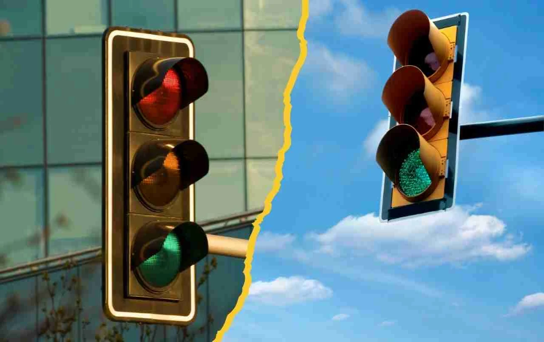 International Traffic Light Day: ट्रैफिक की तीन रंगों वाली रोशनी का जश्न