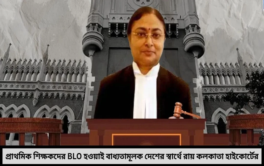 দেশের স্বার্থে BLO হতে হবে প্রাথমিক শিক্ষকদের জানিয়ে দিল কলকাতা হাইকোর্ট
