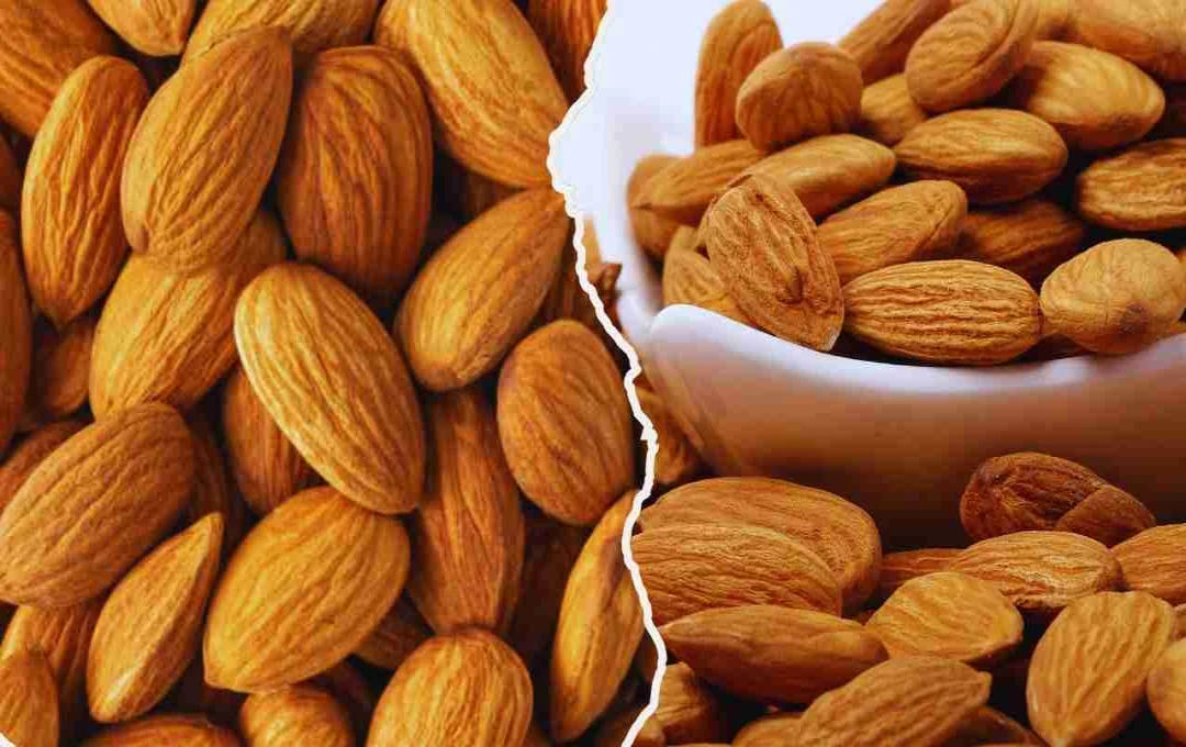 बादाम: जानिए किस अंग के लिए फायदेमंद है और क्यों है यह सबसे बेहतरीन सुपरफूड