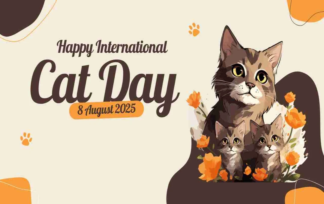 International Cat Day: बिल्लियों के प्रति प्यार और ज़िम्मेदारी का जश्न 